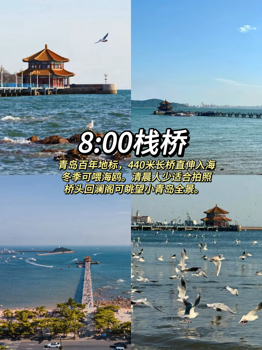 青岛暴走一日游！8大景点极限打卡攻略