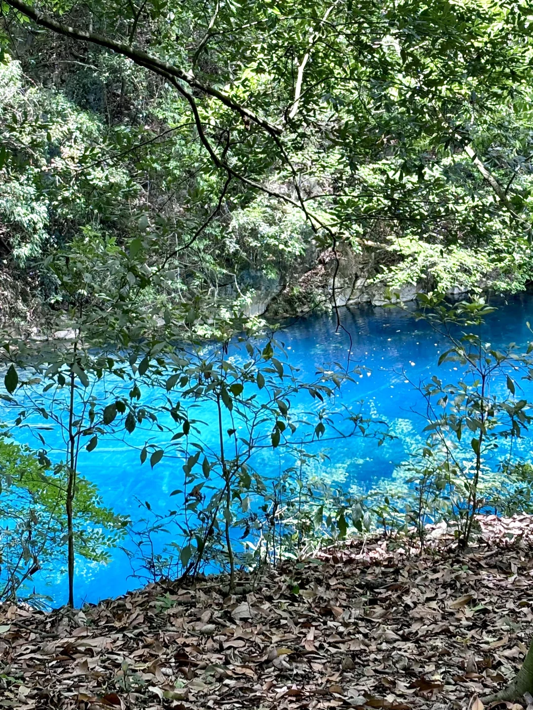众所周知，小七孔这种景区都是看天吃饭的