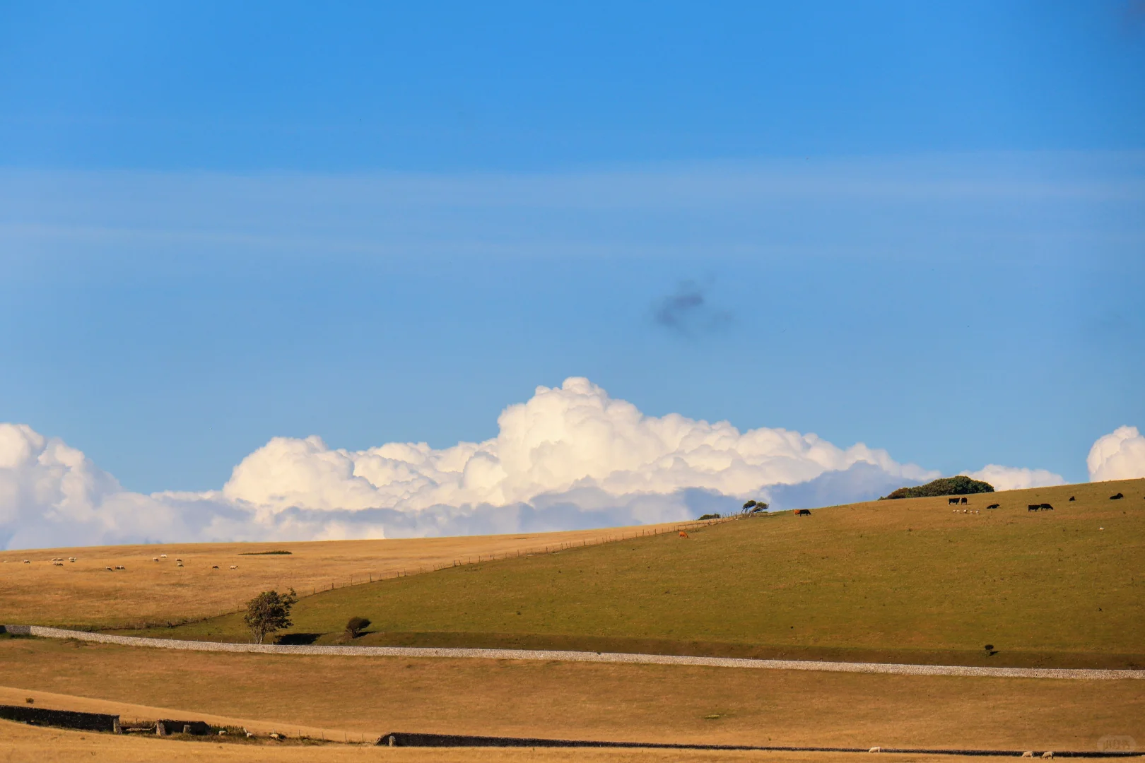 或许十年内都不会去欧洲旅游了