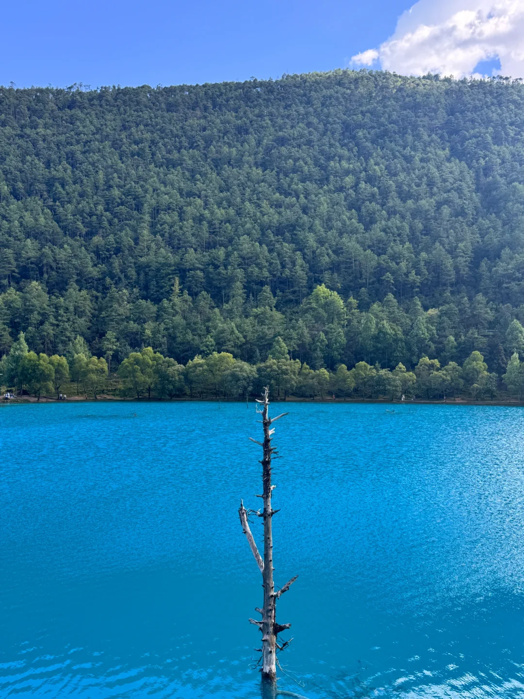 超绝只玩蓝月谷不排队游玩攻略!!