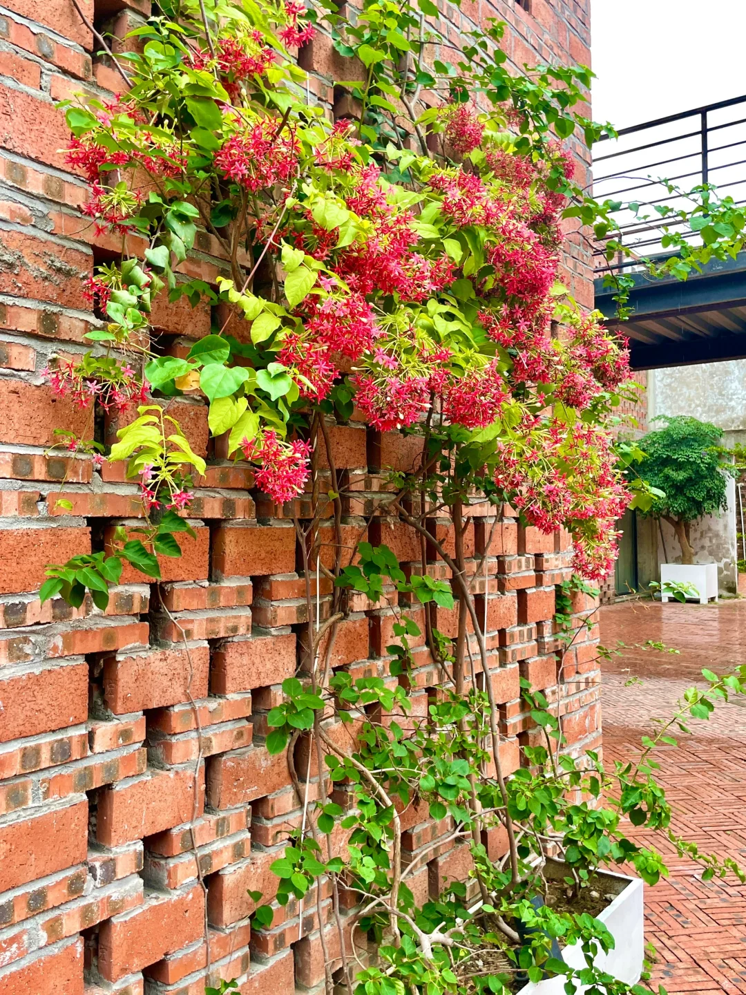 🌈南沙必打卡 | 竖德文旅小镇遛娃拍照出片