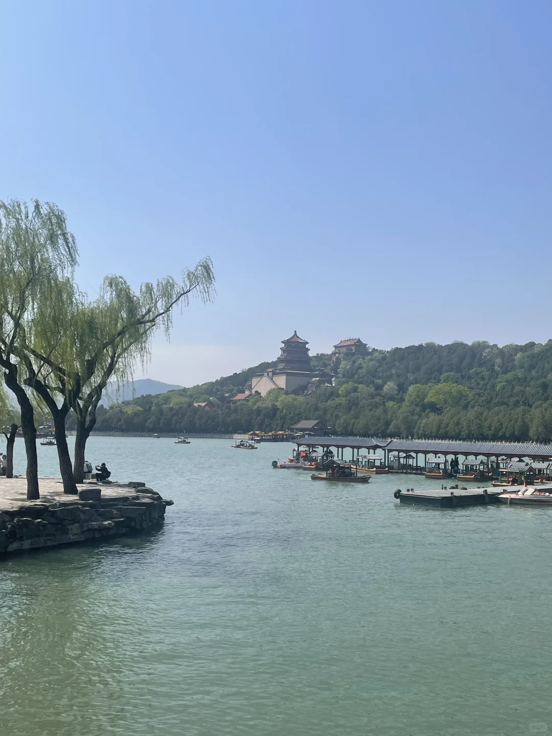 救命！！颐和园的夏天直接美到我心巴上！！