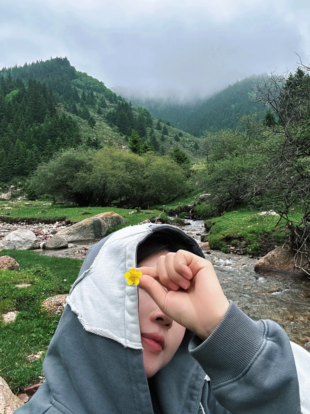 山西小阿勒泰-芦芽山