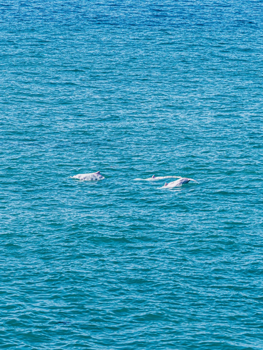 迄今为止,这是我心中no.1的海岛❗️