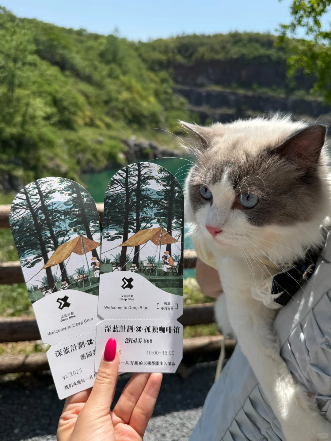 湖州安吉三日游 Day1📝