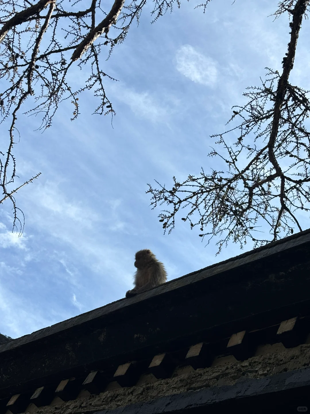 世界这本书多又读了一页｜五一自驾稻城亚丁