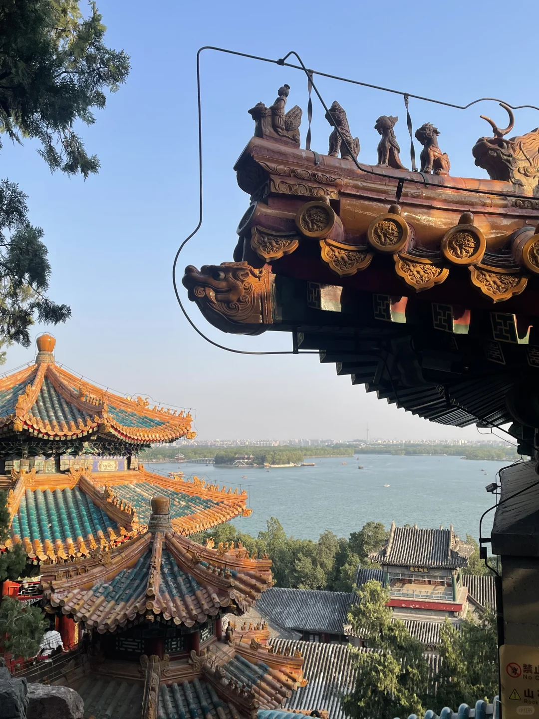 救命！！颐和园的夏天直接美到我心巴上！！