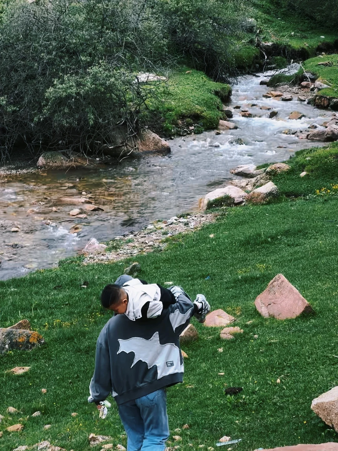 山西小阿勒泰-芦芽山