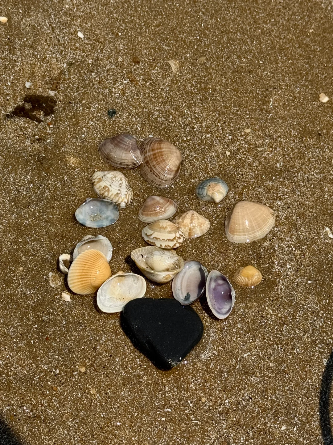 连岛两天一夜旅游小攻略🏖️🐚🍹