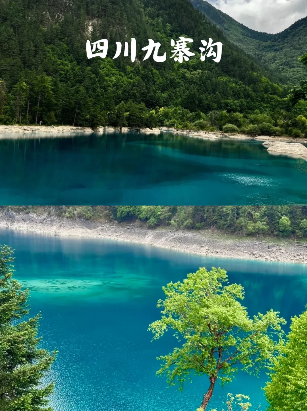 嘉桐妈妈亲测！带娃暑假避暑这8处绝了