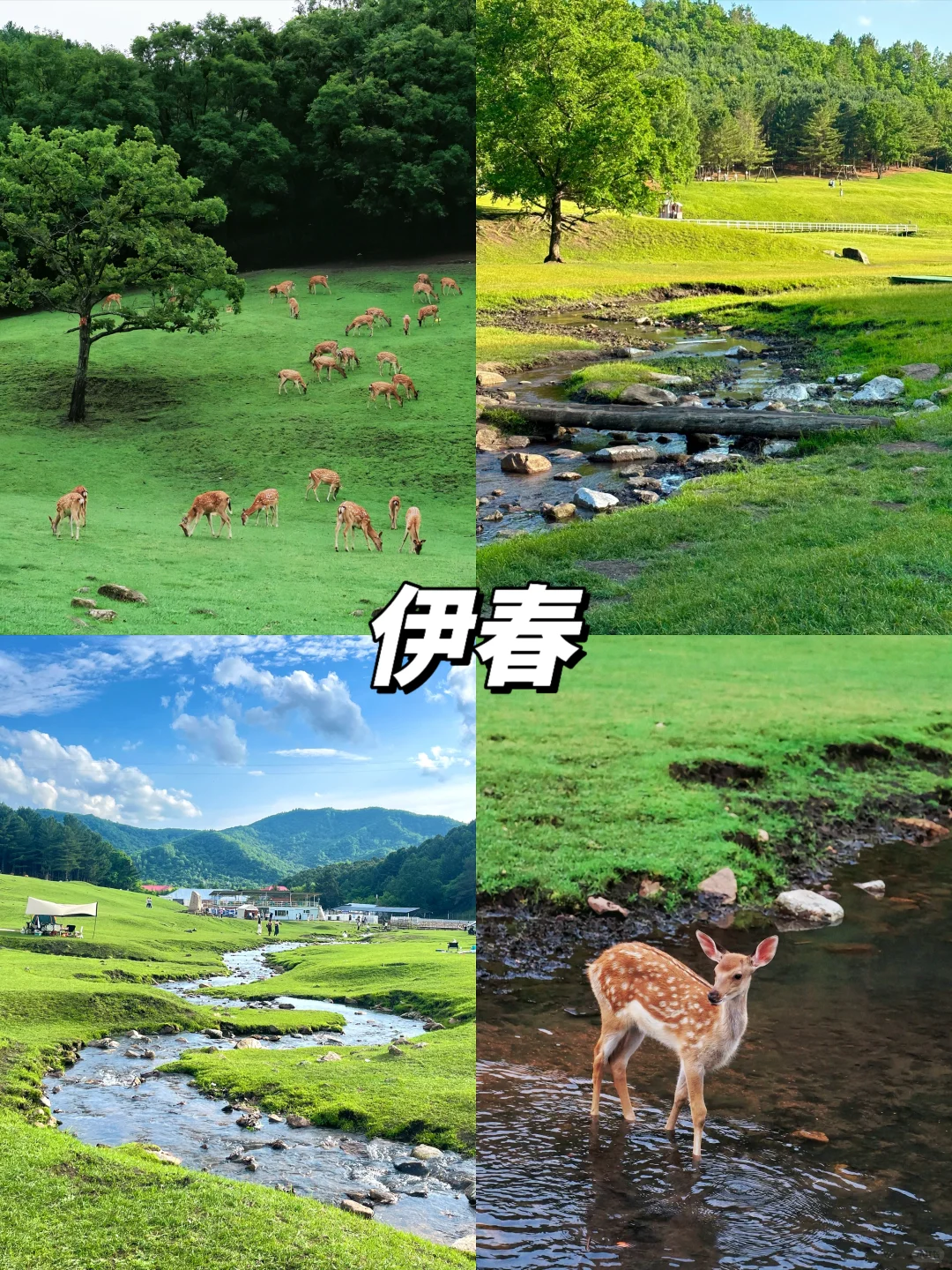 均温25℃，7-8月最凉快的6个避暑胜地✅