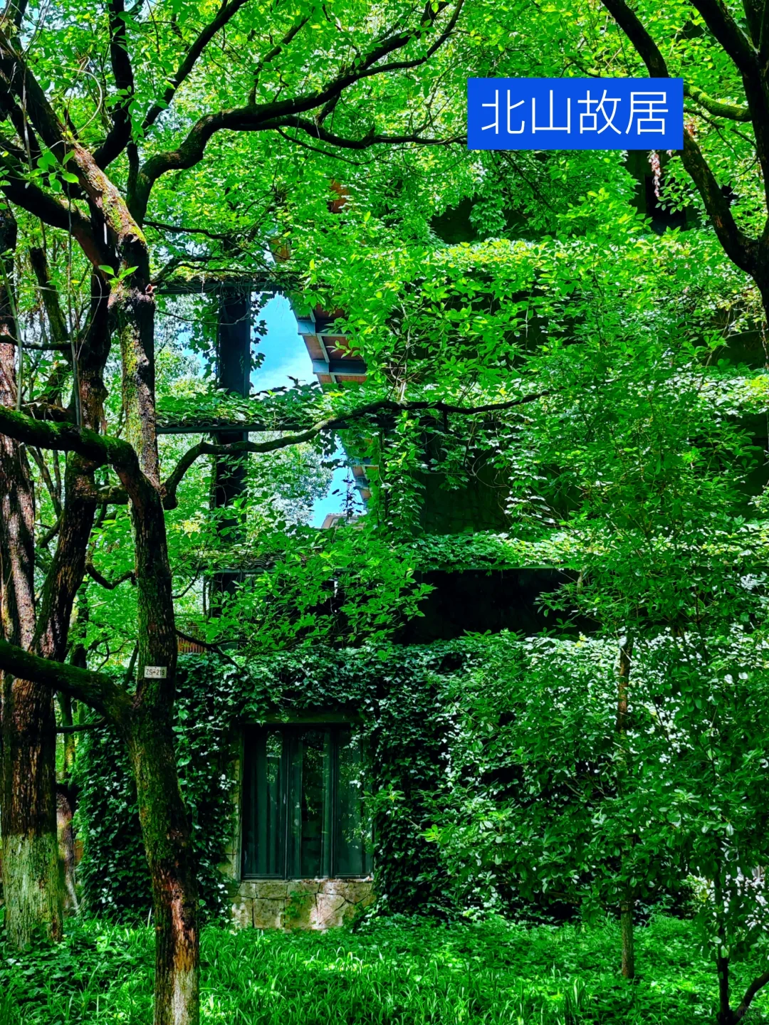 我道歉！求求你们！别来西湖了，比非洲还热