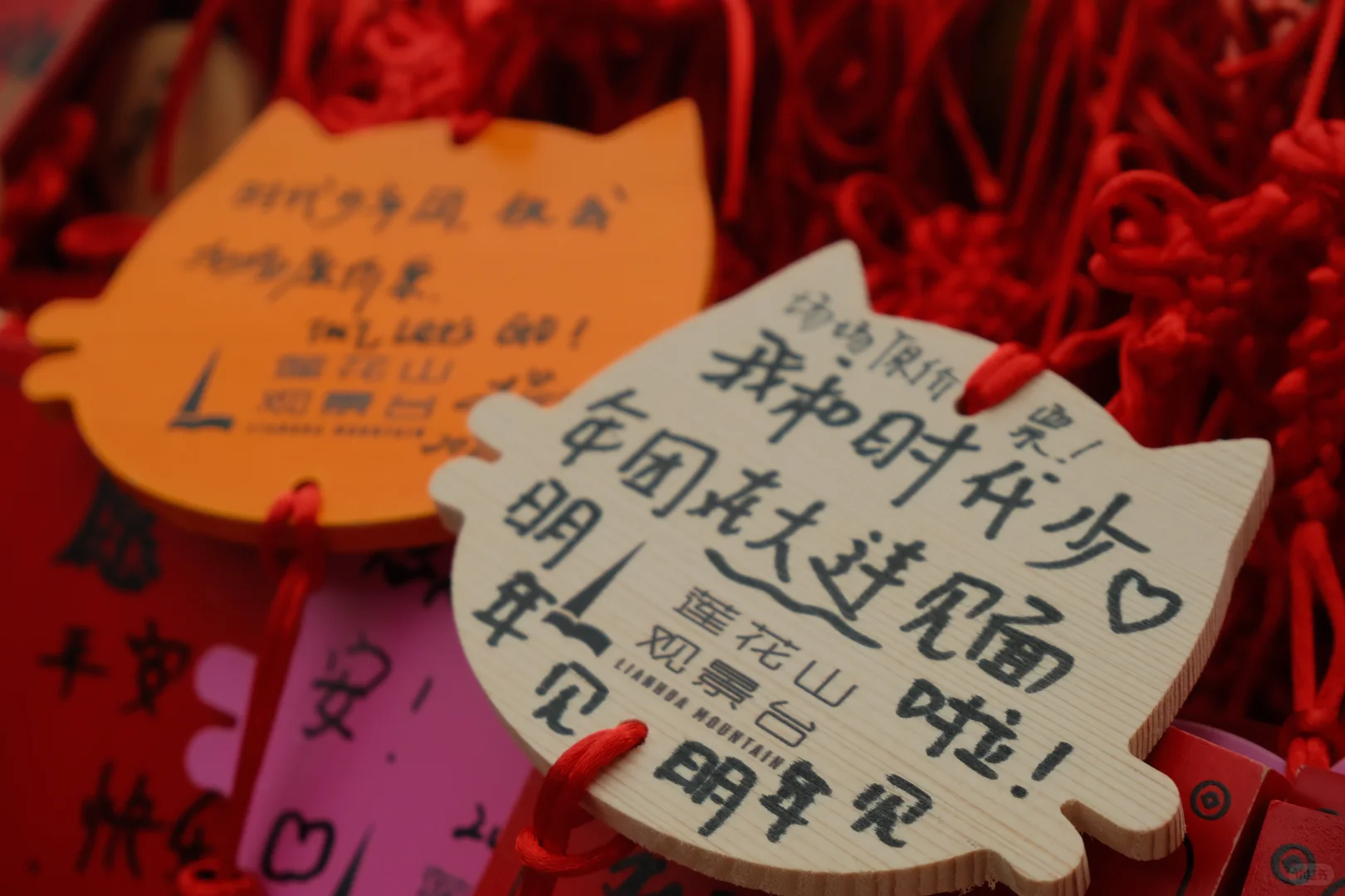 拒绝排队！暑假高峰10分钟享受海达索道