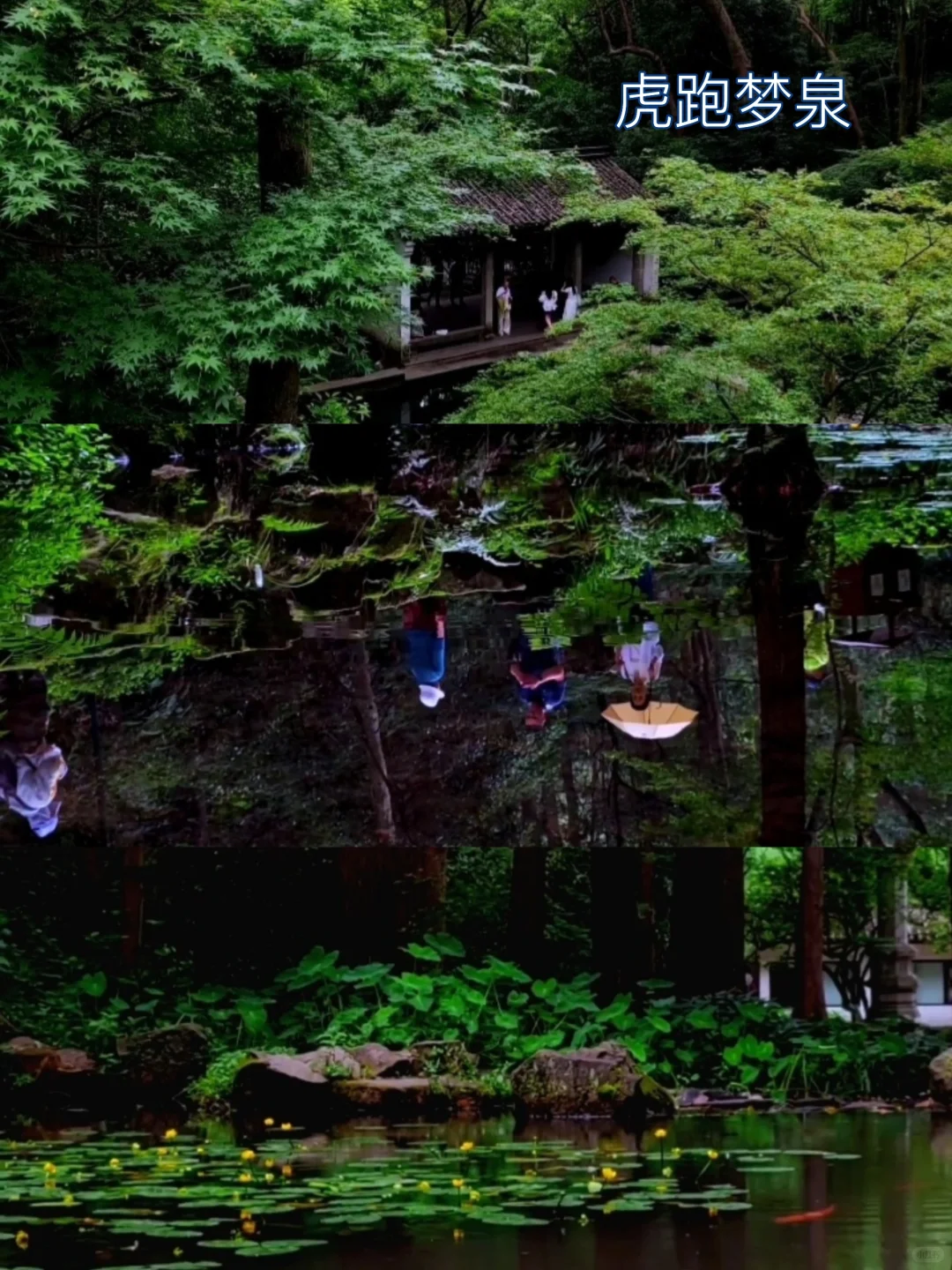 我道歉！求求你们！别来西湖了，比非洲还热