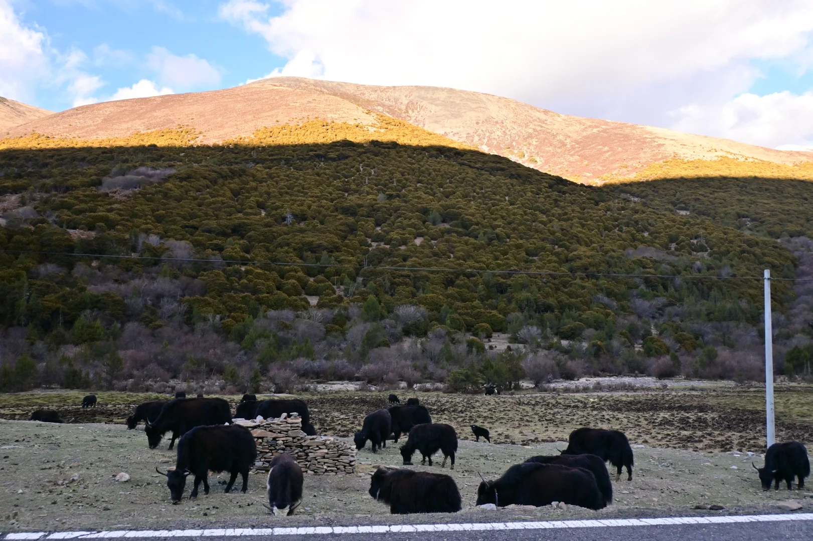 世界这本书多又读了一页｜五一自驾稻城亚丁