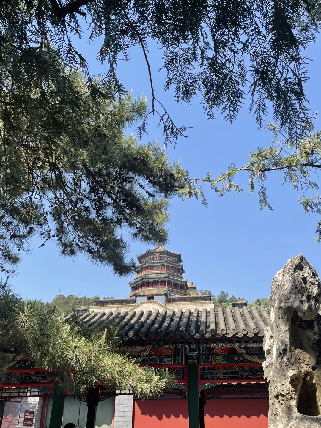 救命！！颐和园的夏天直接美到我心巴上！！