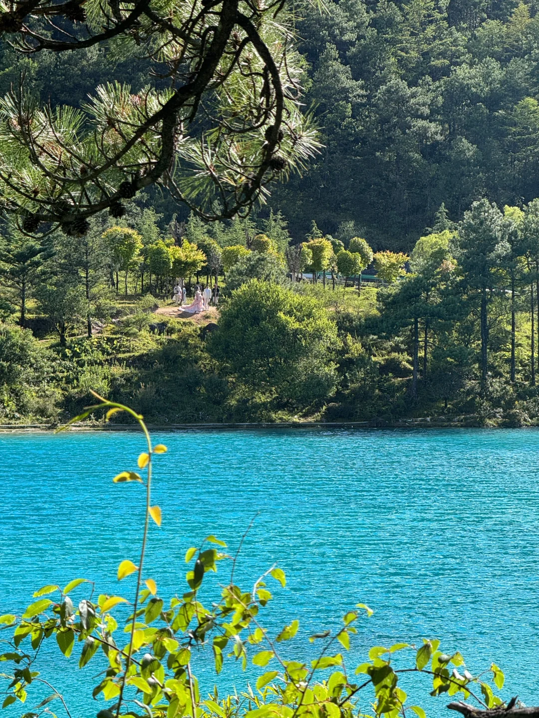 超绝只玩蓝月谷不排队游玩攻略!!