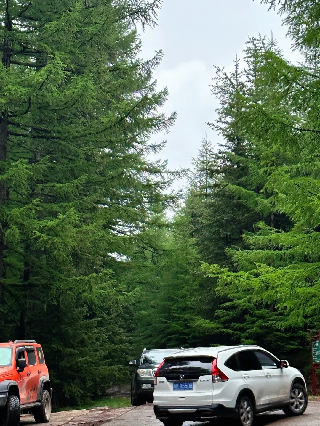 山西小阿勒泰-芦芽山