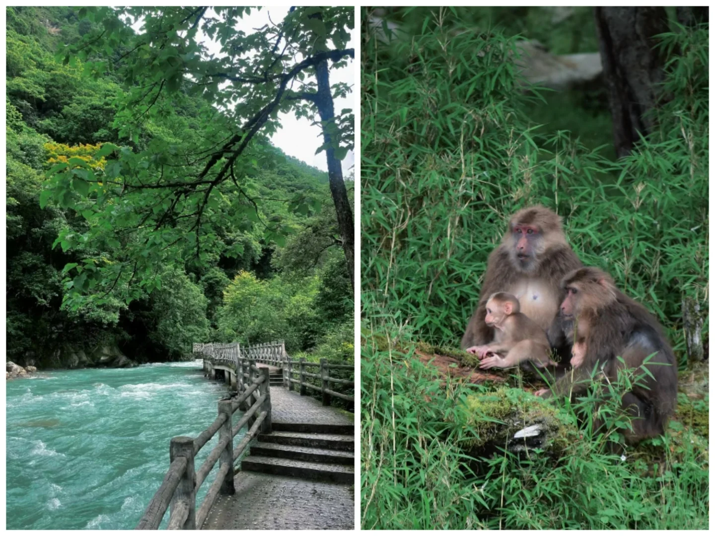 9月反向旅游攻略