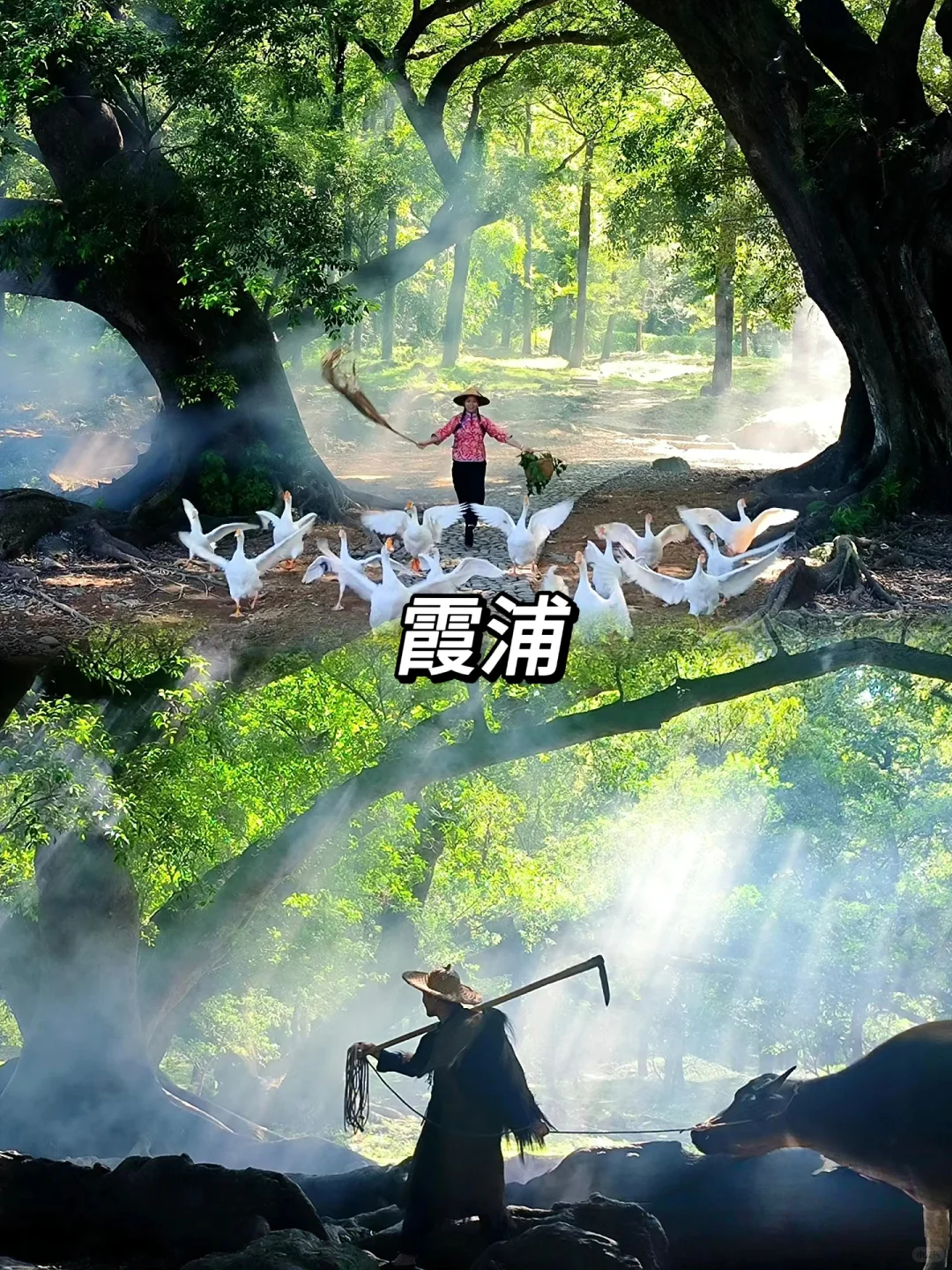 ❗️9个反向旅游景点推荐❗️避开人潮❗️