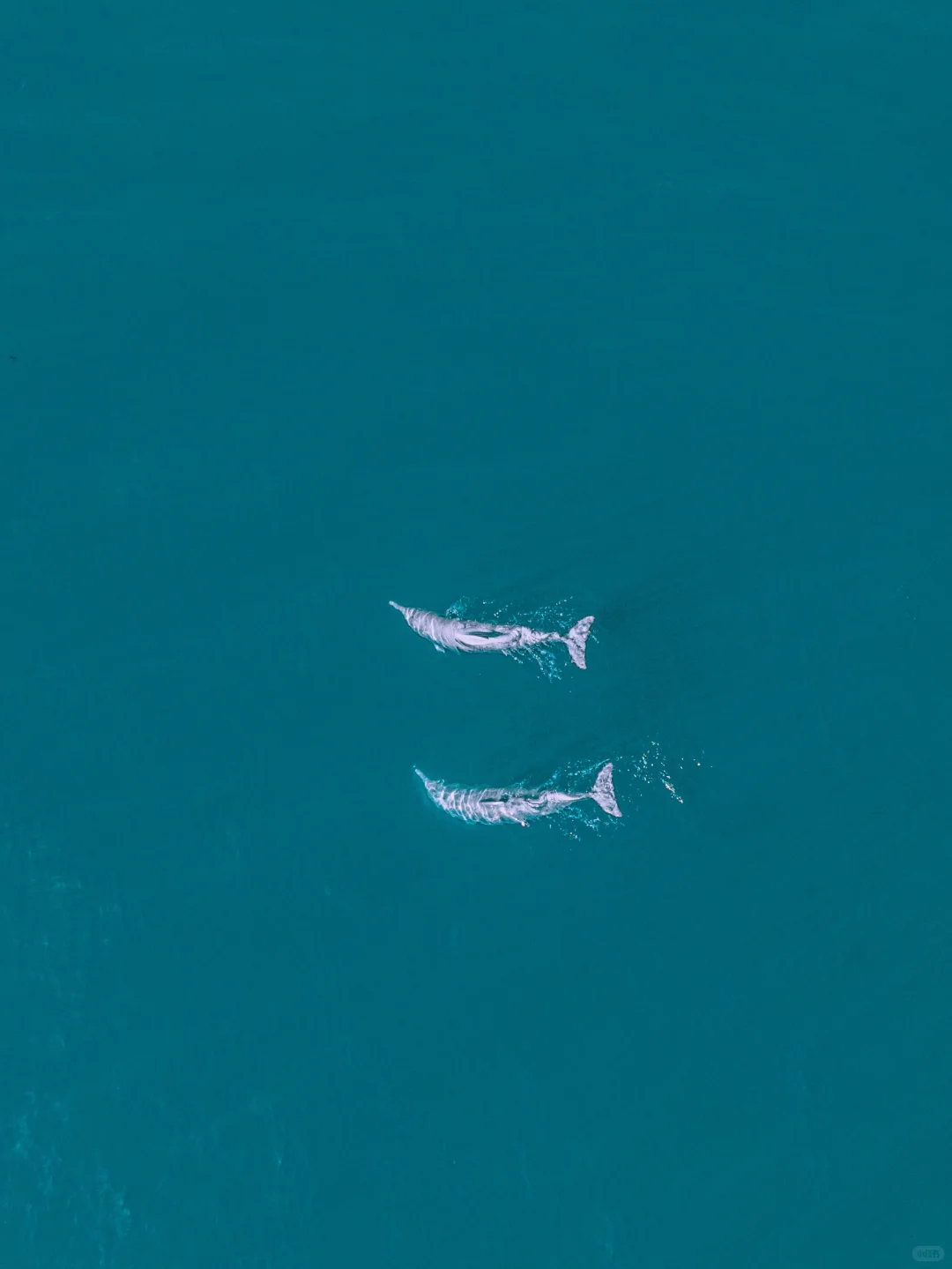 迄今为止,这是我心中no.1的海岛❗️