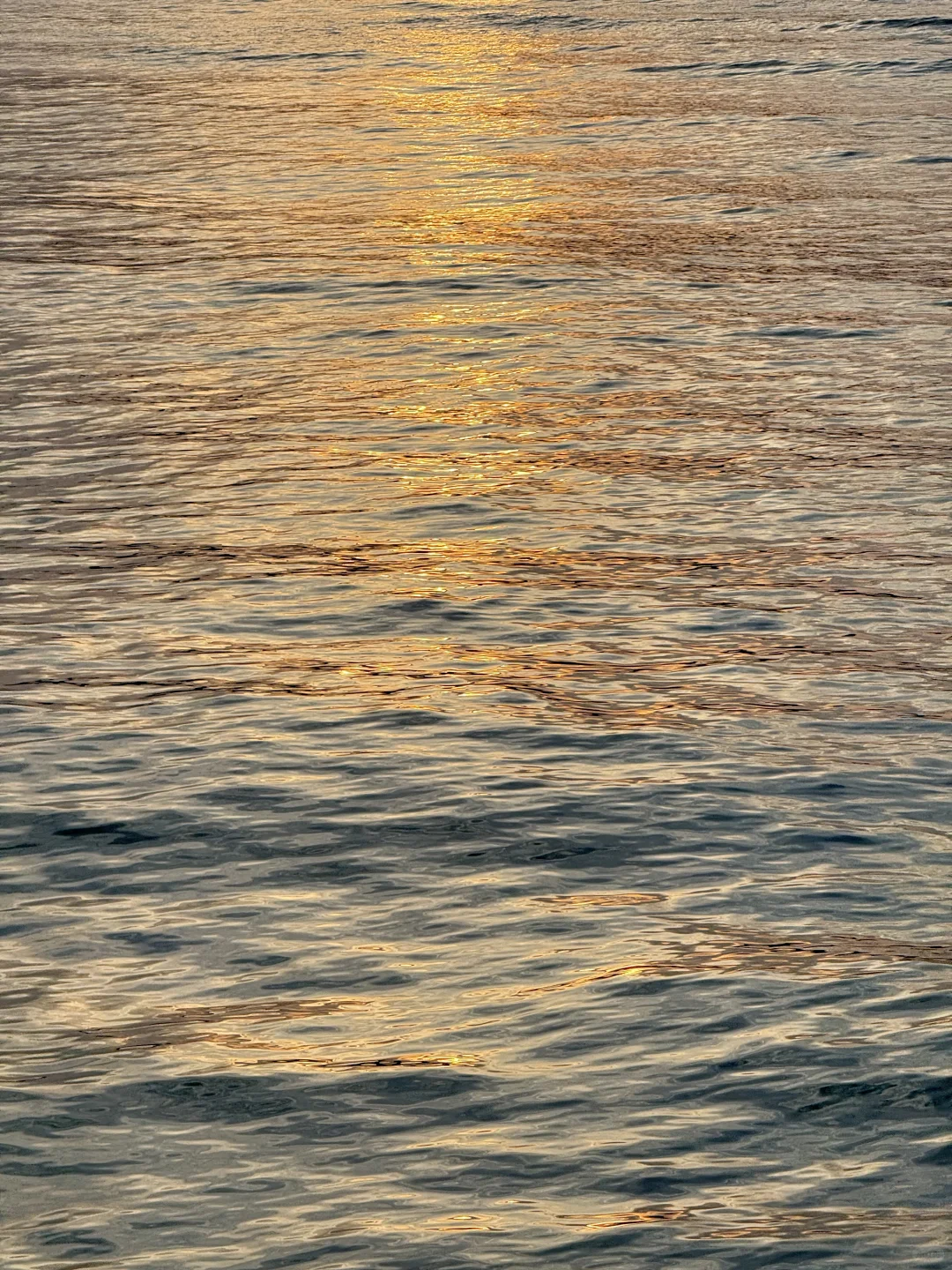 国内的北欧浪漫交给无滤镜的海🏝️秦皇岛