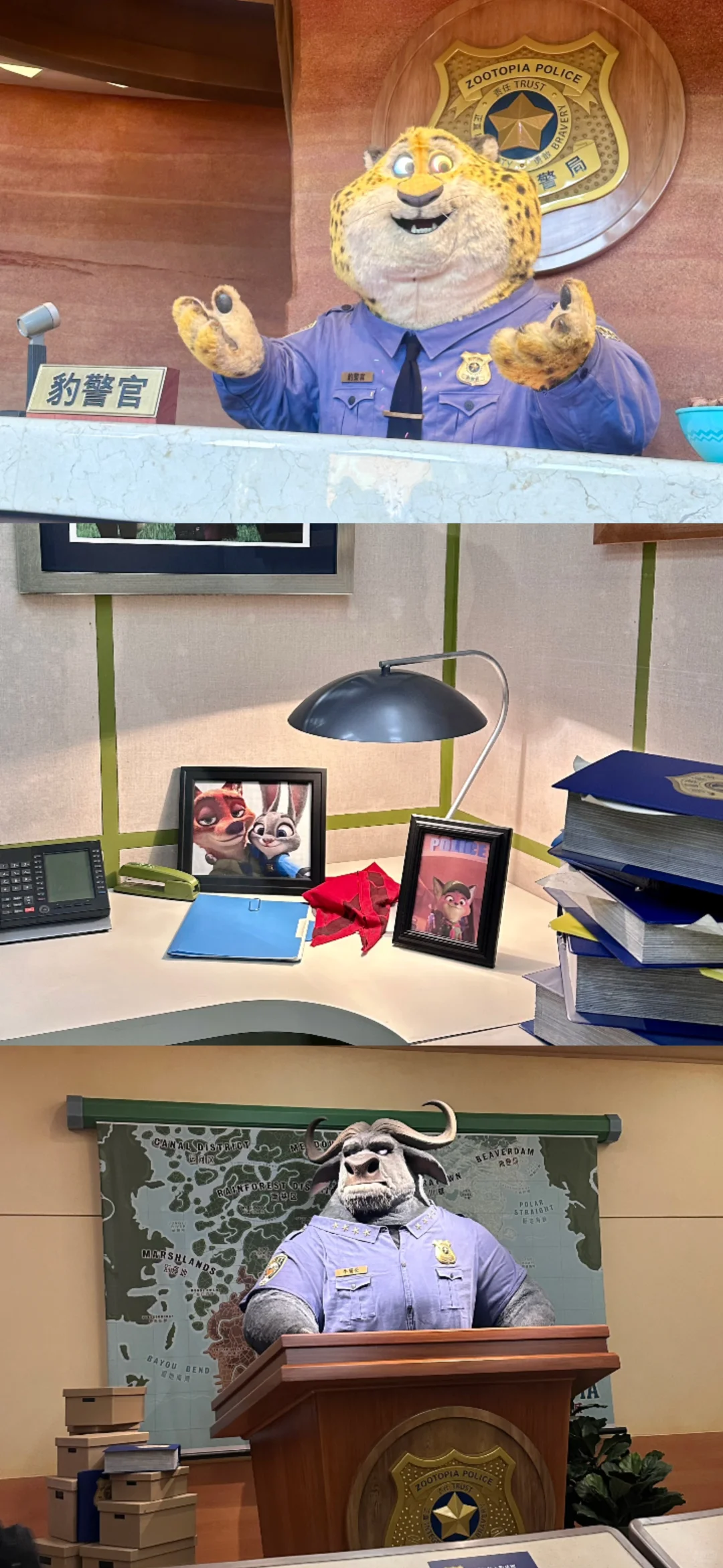 祝你拥有神奇的一天𝑫𝒊𝒔𝒏𝒆𝒚 𝒅𝒂𝒚🎠