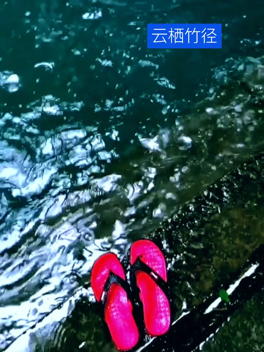 我道歉！求求你们！别来西湖了，比非洲还热