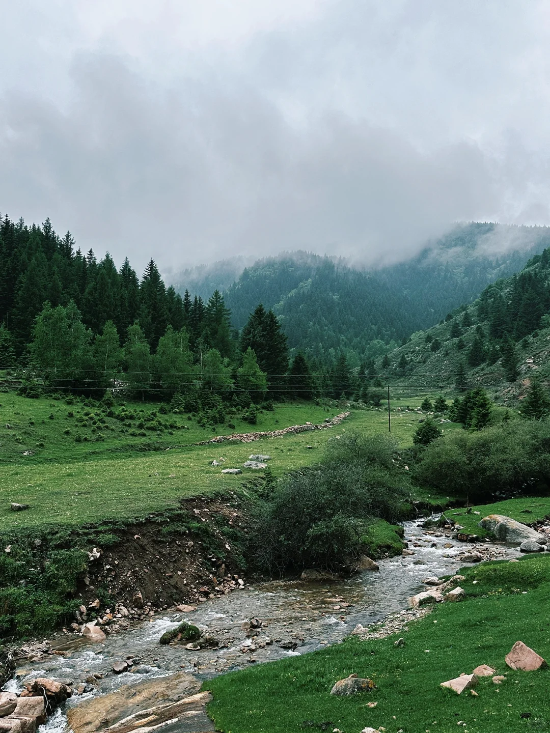 山西小阿勒泰-芦芽山