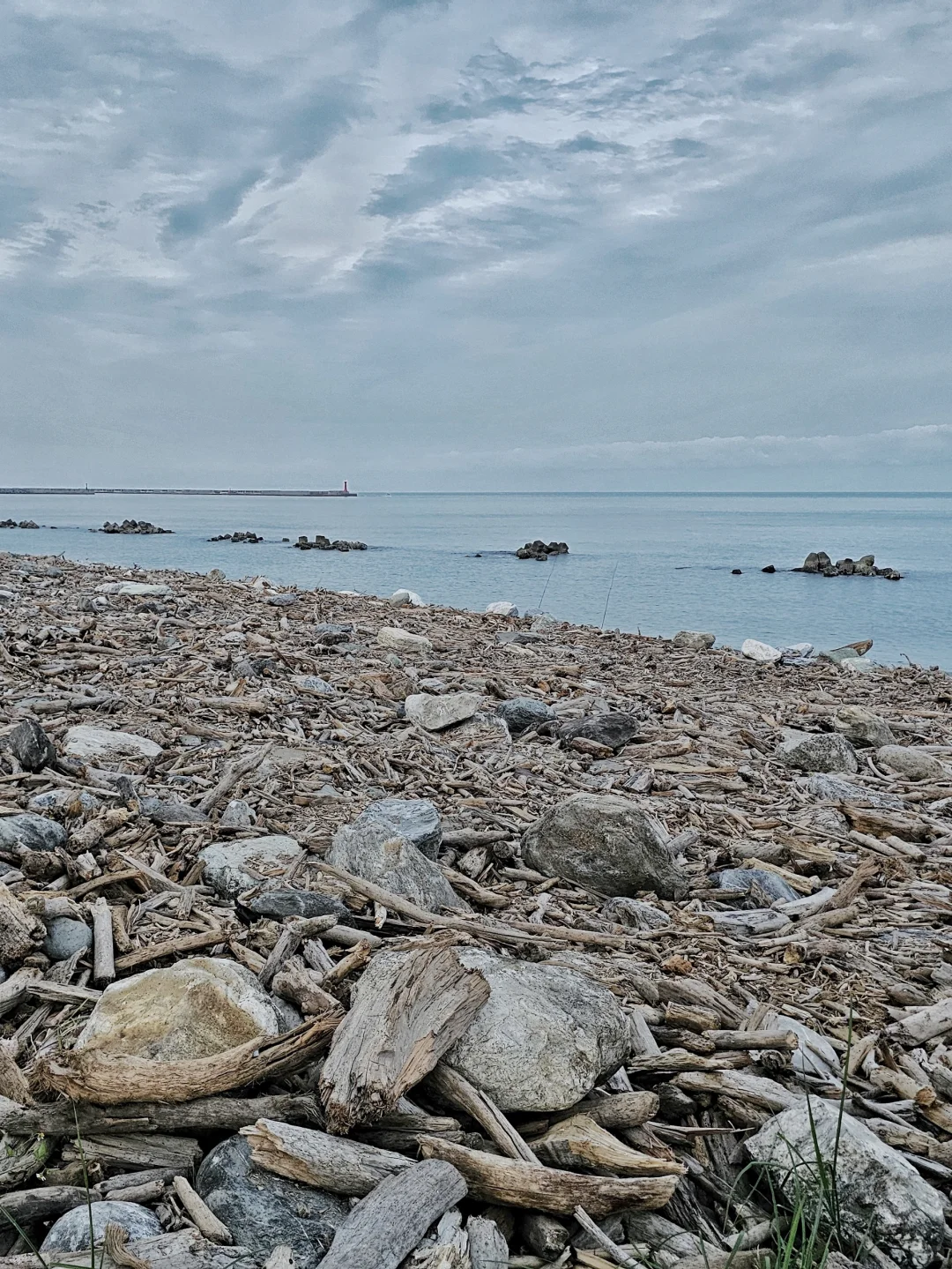 我在花莲拍的照片