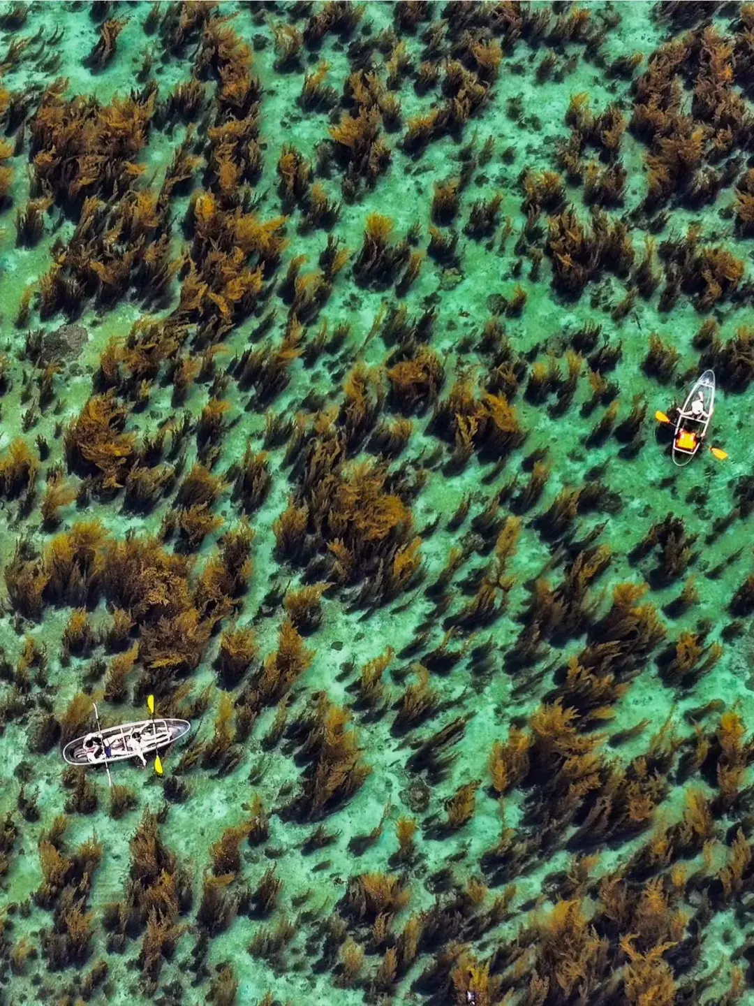 我宣布！这是国内最值得去的海岛！