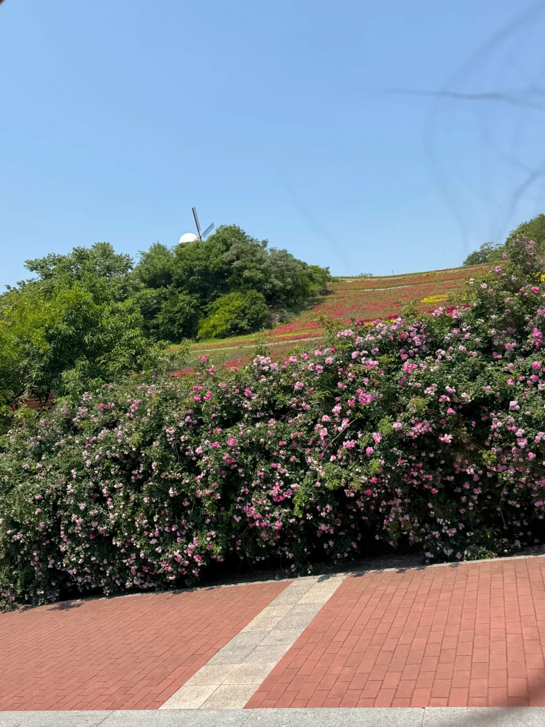 连岛两天一夜旅游小攻略🏖️🐚🍹