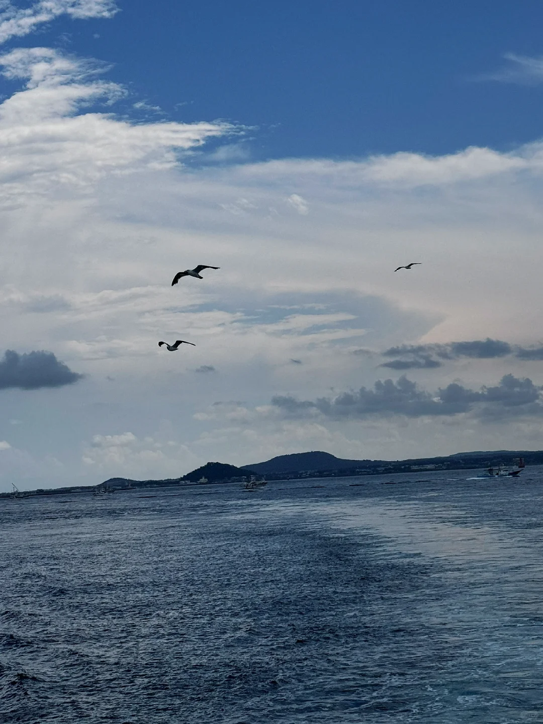 大学生五天六晚游遍济州岛不到4k!