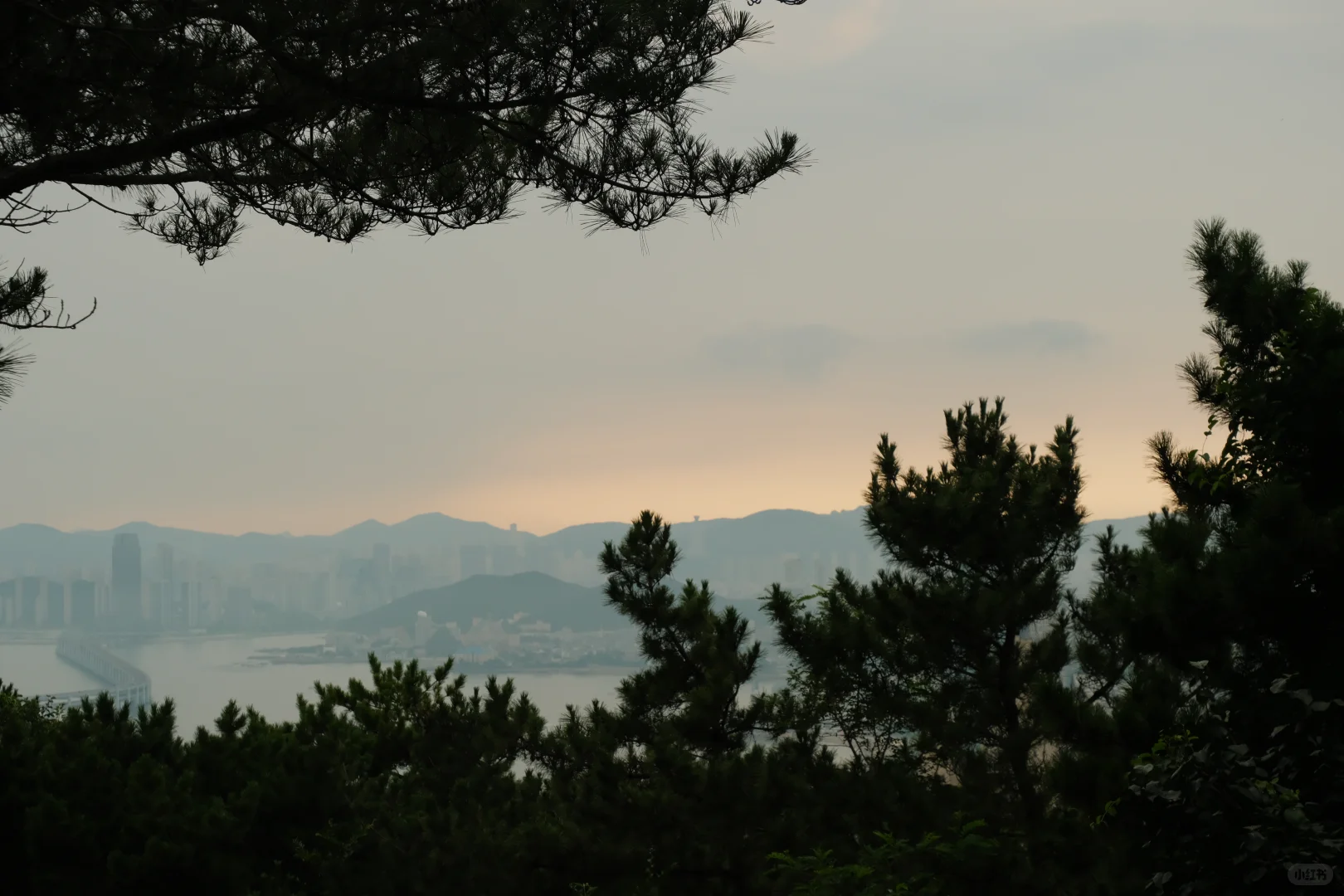 拒绝排队！暑假高峰10分钟享受海达索道