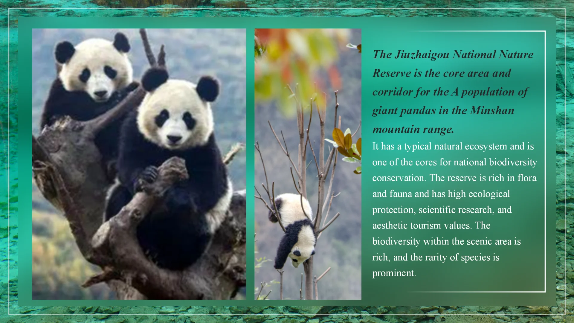 中英文ppt·九寨沟(国内景点)