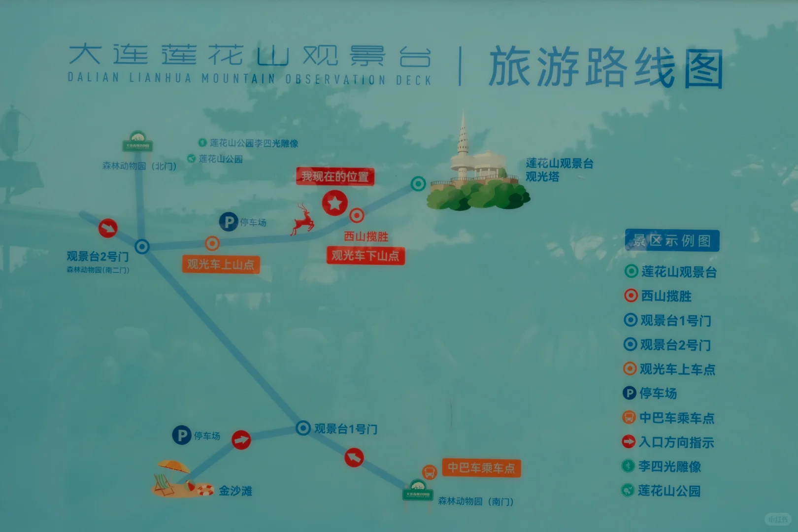 拒绝排队！暑假高峰10分钟享受海达索道