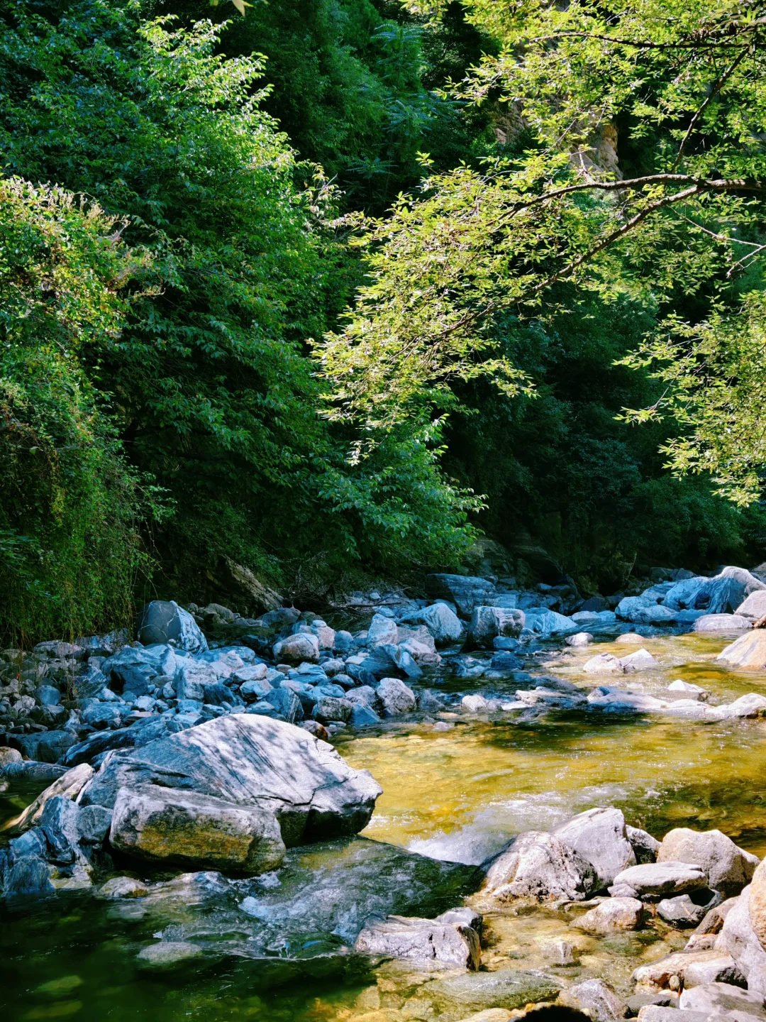 西安🚗1h直达26°C避暑胜地❗️玩水➕云海
