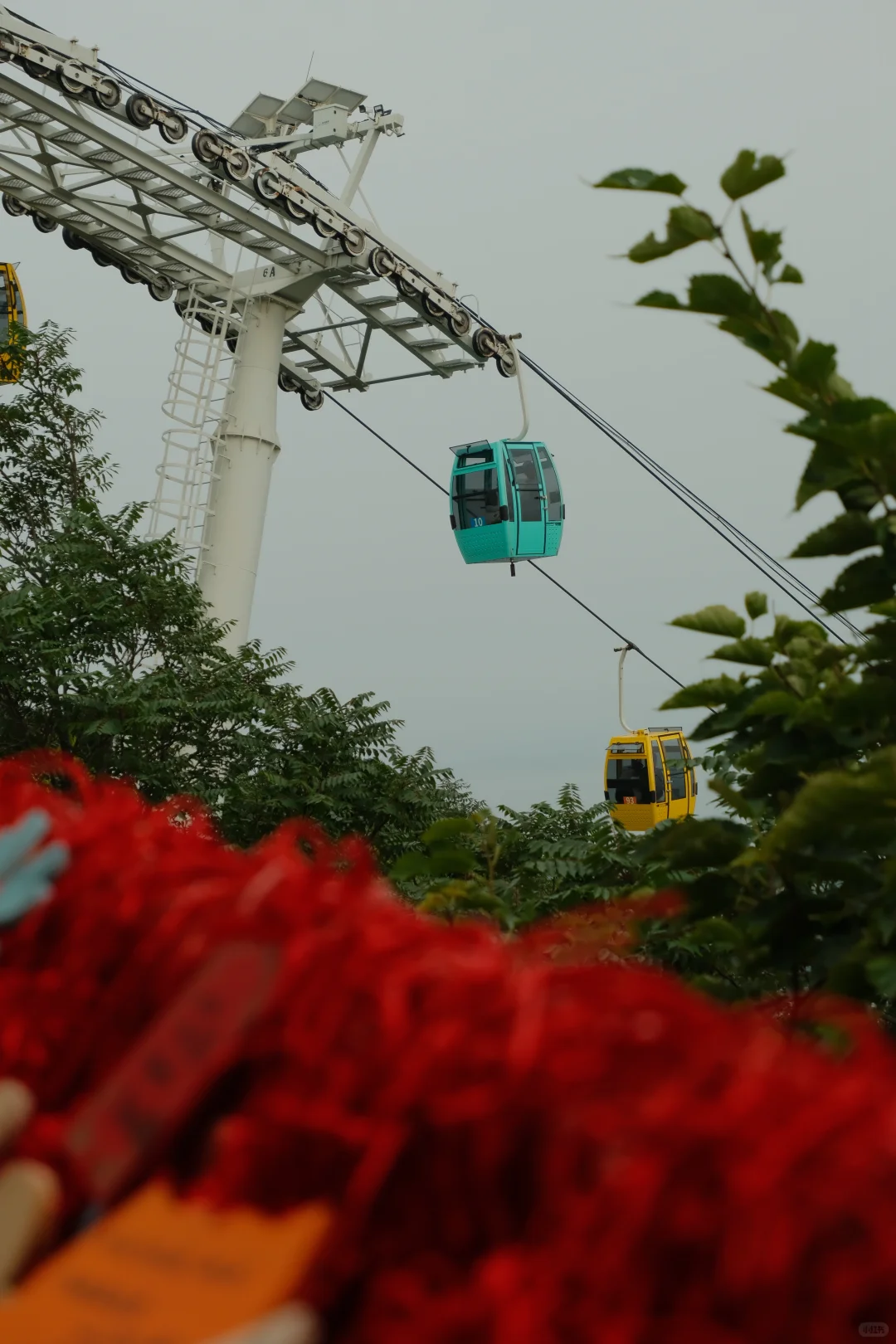 拒绝排队！暑假高峰10分钟享受海达索道