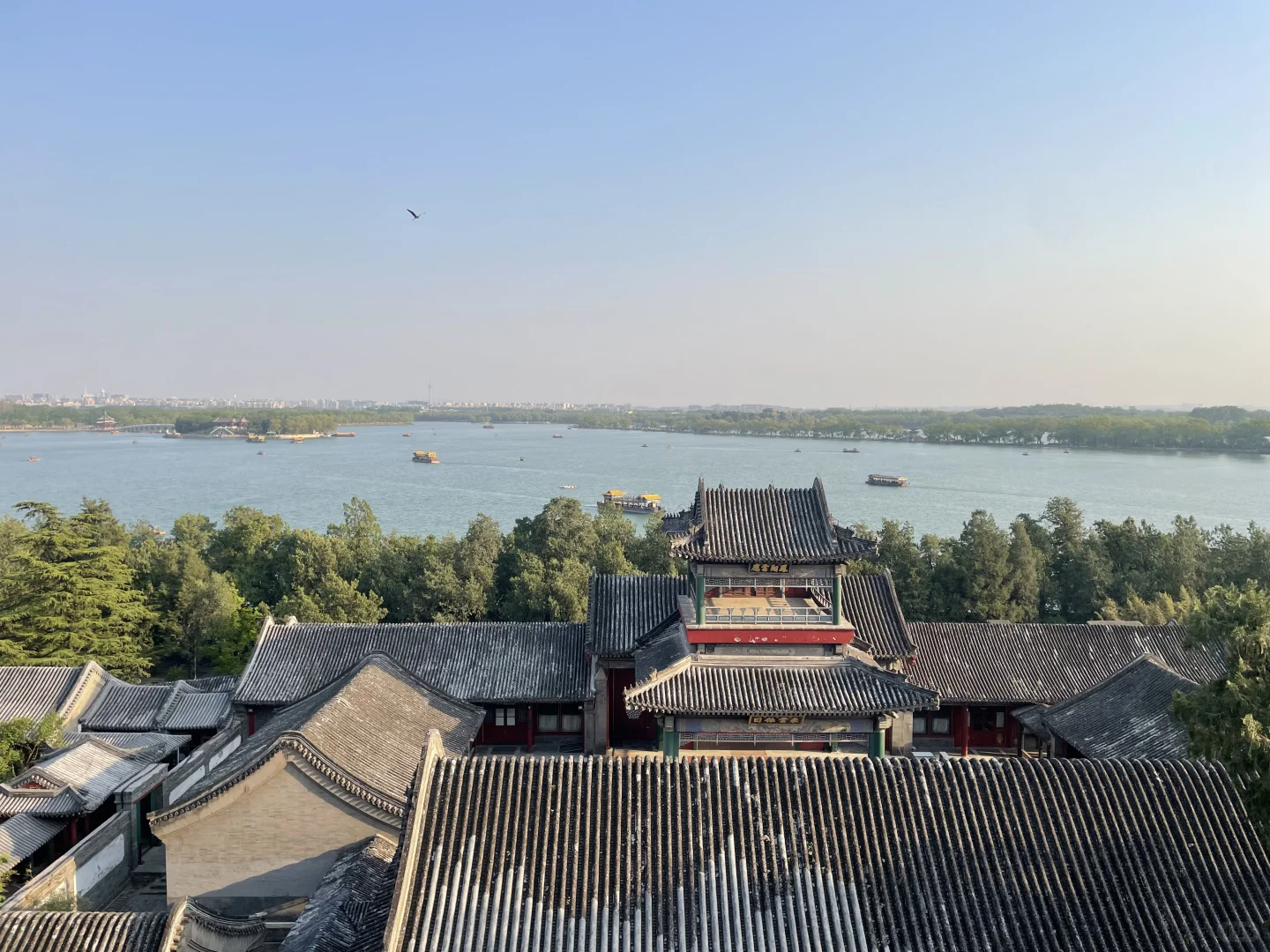 救命！！颐和园的夏天直接美到我心巴上！！