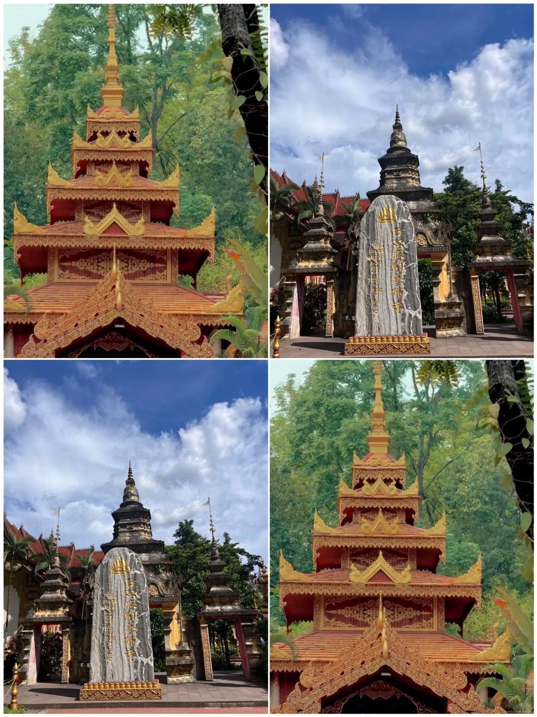 夏天适合带小朋友去的，4️⃣个超棒城市