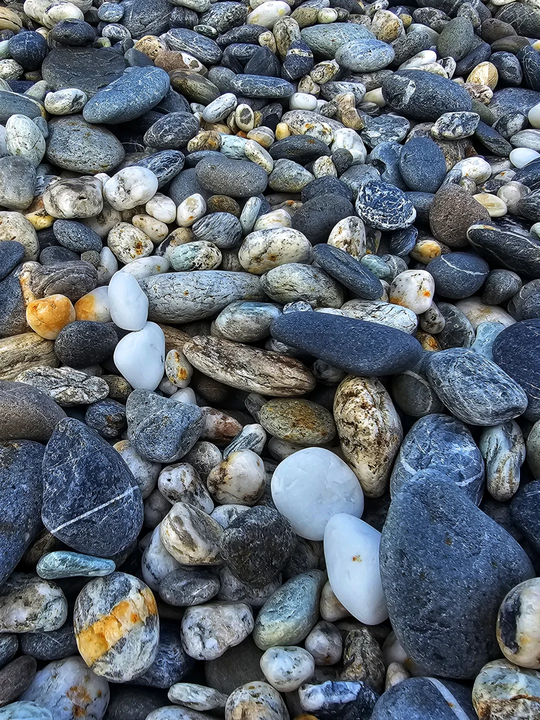 我在花莲拍的照片