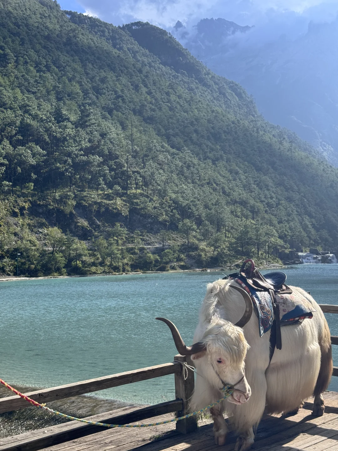 超绝只玩蓝月谷不排队游玩攻略!!