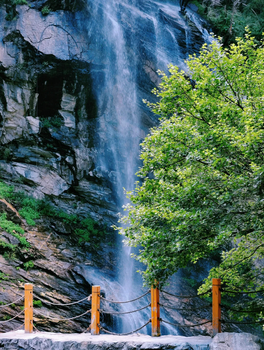 西安🚗1h直达26°C避暑胜地❗️玩水➕云海