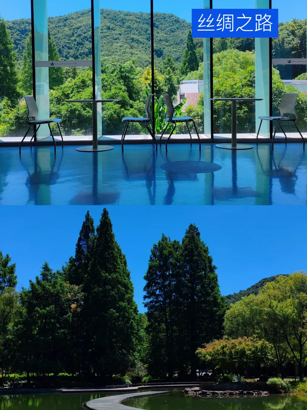 我道歉！求求你们！别来西湖了，比非洲还热