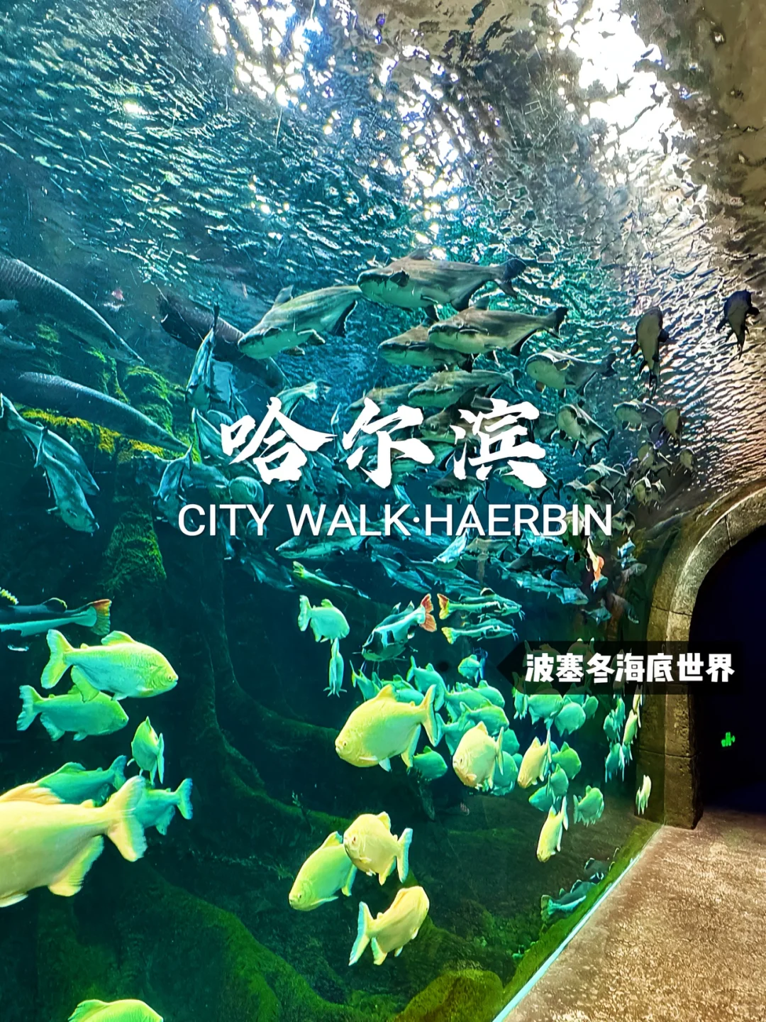 盘点东北值得去的12个宝藏景点快收藏