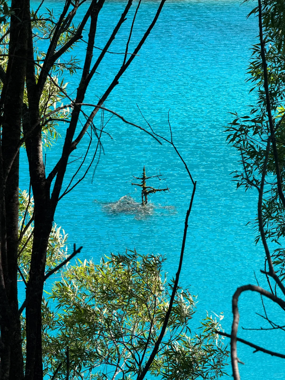 超绝只玩蓝月谷不排队游玩攻略!!