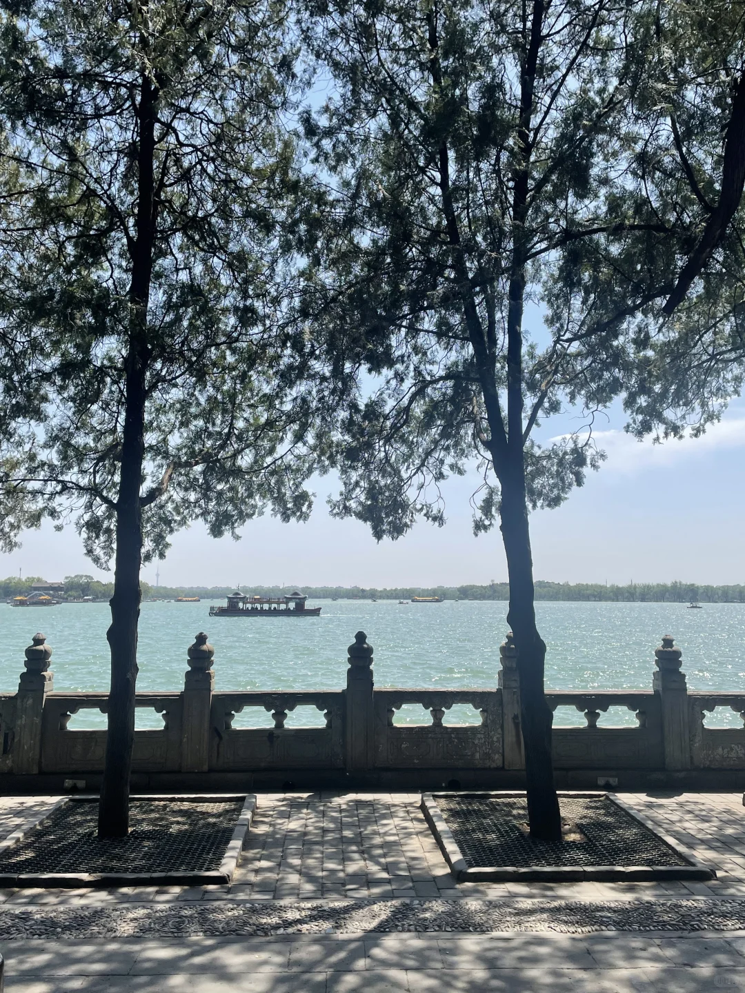 救命！！颐和园的夏天直接美到我心巴上！！