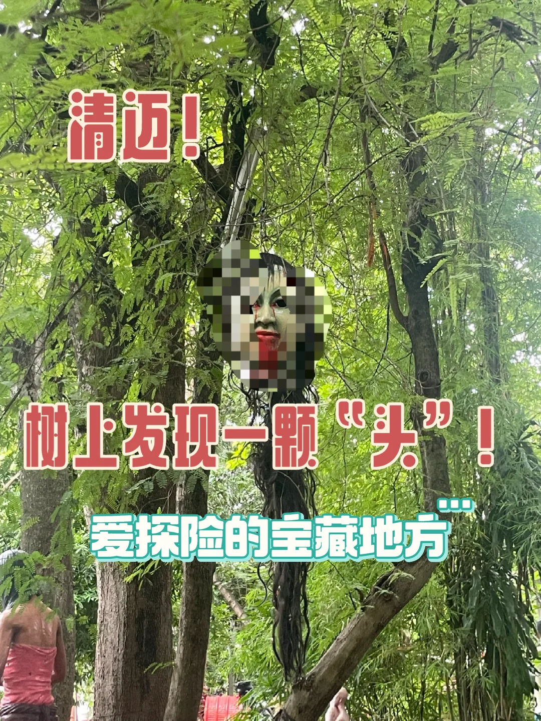 清迈这个地方太刺激了！好像知道的人不多！