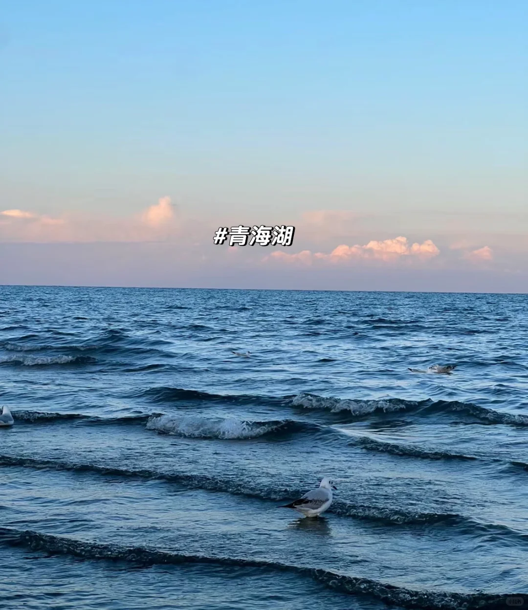 预算1.1k➕💰 就去青海玩🌊