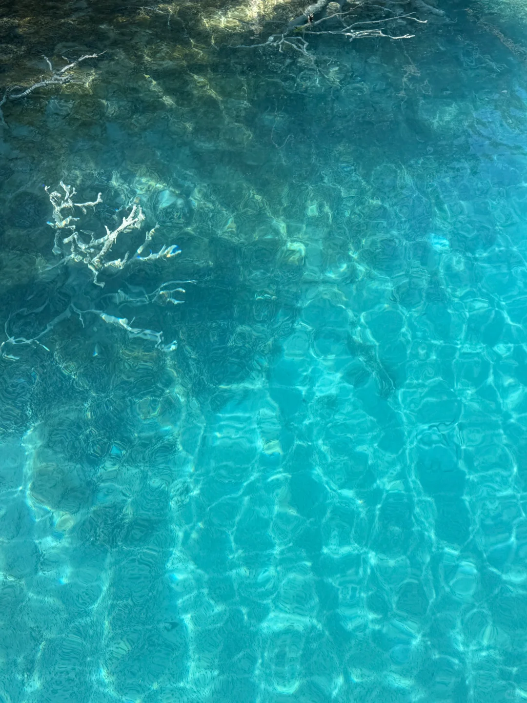 超绝只玩蓝月谷不排队游玩攻略!!